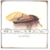 CICADAS, THE - The Cicadas