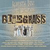 VARIOUS ARTISTS - 100% Handmade Bluegrass
