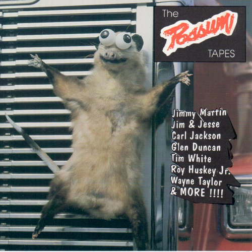 VARIOUS ARTISTS - Possum Tapes
