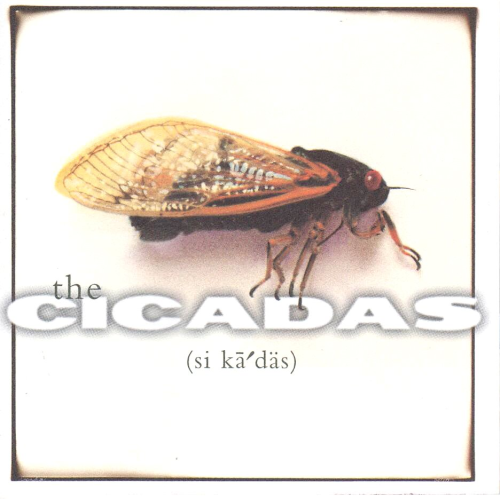 CICADAS, THE - The Cicadas