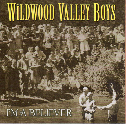 WILDWOOD VALLEY BOYS - I'm A Believer