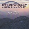 GULLEY, STEVE & NEW PINNACLE - Aim High