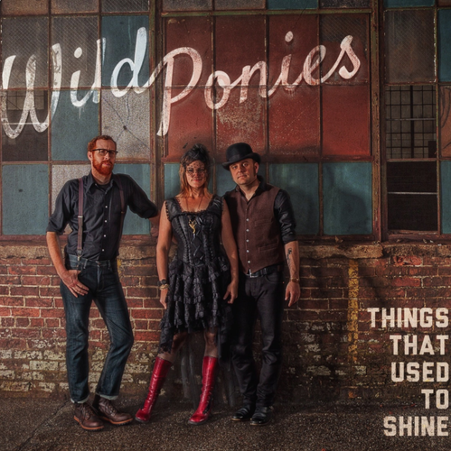 WILD PONIES - Things That Used To Shine