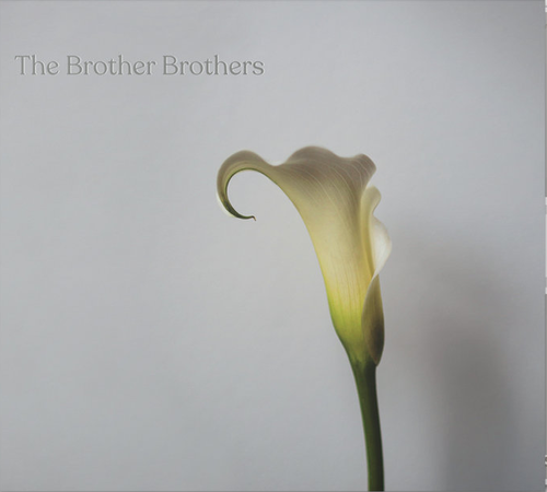 BROTHER BROTHERS, THE - Calla Lily